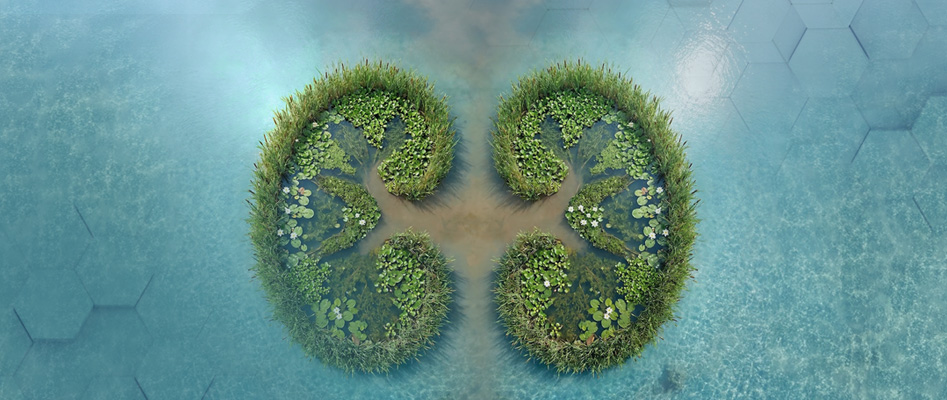 V�cudun Do�al Ar�tma Sistemi: B�brek Sa�l���